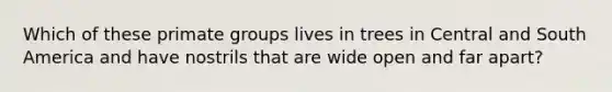 Which of these primate groups lives in trees in Central and South America and have nostrils that are wide open and far apart?