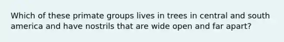 Which of these primate groups lives in trees in central and south america and have nostrils that are wide open and far apart?
