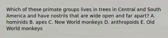 Which of these primate groups lives in trees in Central and South America and have nostrils that are wide open and far apart? A. hominids B. apes C. New World monkeys D. anthropoids E. Old World monkeys