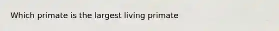 Which primate is the largest living primate