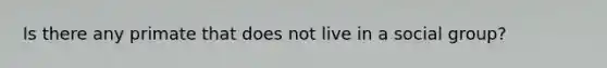 Is there any primate that does not live in a social group?