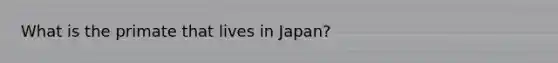 What is the primate that lives in Japan?