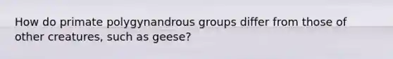 How do primate polygynandrous groups differ from those of other creatures, such as geese?