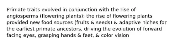 Primate traits evolved in conjunction with the rise of angiosperms (flowering plants): the rise of flowering plants provided new food sources (fruits & seeds) & adaptive niches for the earliest primate ancestors, driving the evolution of forward facing eyes, grasping hands & feet, & color vision