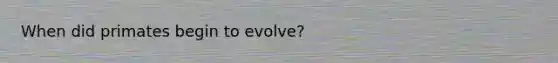 When did primates begin to evolve?