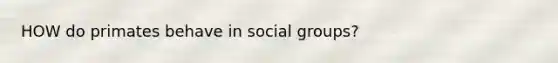 HOW do primates behave in social groups?