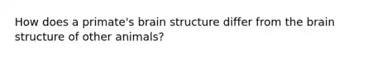 How does a primate's brain structure differ from <a href='https://www.questionai.com/knowledge/kLMtJeqKp6-the-brain' class='anchor-knowledge'>the brain</a> structure of other animals?