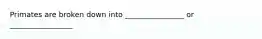 Primates are broken down into ________________ or _________________