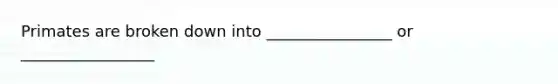 Primates are broken down into ________________ or _________________