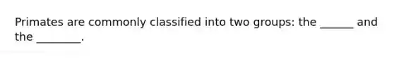 Primates are commonly classified into two groups: the ______ and the ________.