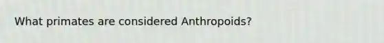 What primates are considered Anthropoids?