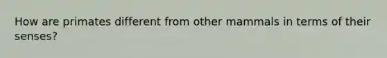 How are primates different from other mammals in terms of their senses?