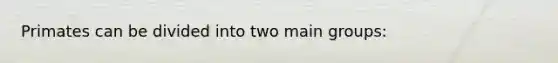 Primates can be divided into two main groups: