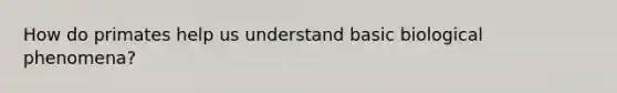 How do primates help us understand basic biological phenomena?