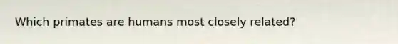 Which primates are humans most closely related?