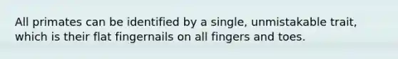 All primates can be identified by a single, unmistakable trait, which is their flat fingernails on all fingers and toes.