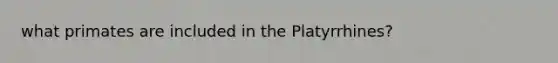 what primates are included in the Platyrrhines?