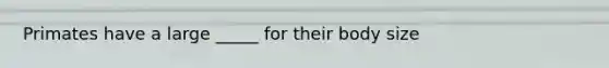 Primates have a large _____ for their body size