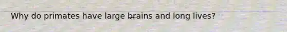 Why do primates have large brains and long lives?