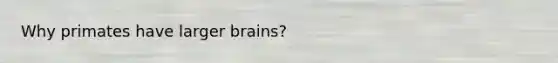 Why primates have larger brains?