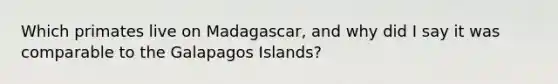 Which primates live on Madagascar, and why did I say it was comparable to the Galapagos Islands?