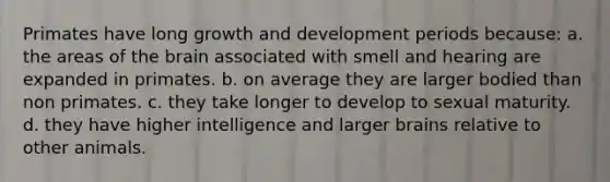 Primates have long growth and development periods because: a. the areas of the brain associated with smell and hearing are expanded in primates. b. on average they are larger bodied than non primates. c. they take longer to develop to sexual maturity. d. they have higher intelligence and larger brains relative to other animals.