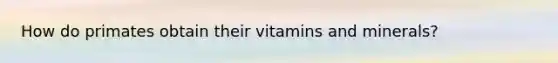 How do primates obtain their vitamins and minerals?