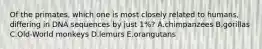 Of the primates, which one is most closely related to humans, differing in DNA sequences by just 1%? A.chimpanzees B.gorillas C.Old-World monkeys D.lemurs E.orangutans