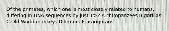 Of the primates, which one is most closely related to humans, differing in DNA sequences by just 1%? A.chimpanzees B.gorillas C.Old-World monkeys D.lemurs E.orangutans