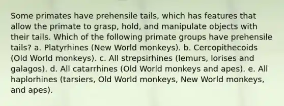 Some primates have prehensile tails, which has features that allow the primate to grasp, hold, and manipulate objects with their tails. Which of the following primate groups have prehensile tails? a. Platyrhines (New World monkeys). b. Cercopithecoids (Old World monkeys). c. All strepsirhines (lemurs, lorises and galagos). d. All catarrhines (Old World monkeys and apes). e. All haplorhines (tarsiers, Old World monkeys, New World monkeys, and apes).