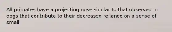 All primates have a projecting nose similar to that observed in dogs that contribute to their decreased reliance on a sense of smell