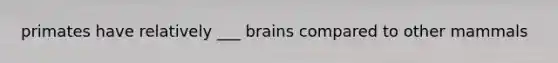 primates have relatively ___ brains compared to other mammals