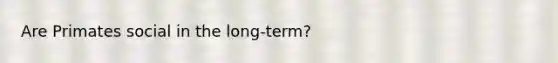 Are Primates social in the long-term?