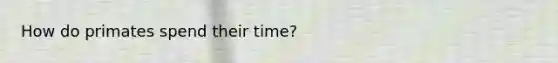 How do primates spend their time?