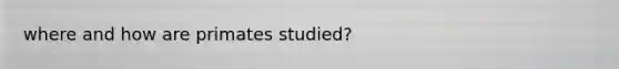 where and how are primates studied?