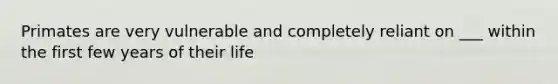 Primates are very vulnerable and completely reliant on ___ within the first few years of their life
