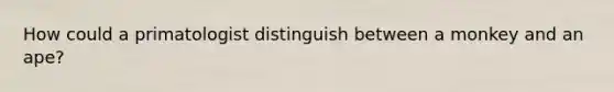 How could a primatologist distinguish between a monkey and an ape?