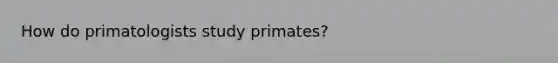 How do primatologists study primates?