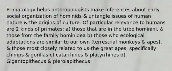 Primatology helps anthropologists make inferences about early social organization of hominids & untangle issues of human nature & the origins of culture. Of particular relevance to humans are 2 kinds of primates: a) those that are in the tribe hominini, & those from the family hominidea b) those who ecological adaptations are similar to our own (terrestrial monkeys & apes), & those most closely related to us-the great apes, specifically chimps & gorillas c) catarrhines & platyrrhines d) Gigantopithecus & pierolapithecus