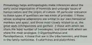 Primatology helps anthropologists make inferences about the early social organization of hominids and untangle issues of human nature and the origins of culture. Of particular relevance to these types of questions are two kinds of primates: 1 those whose ecological adaptations are similar to our own (terrestrial monkeys and apes), and those most closely related to us, the great apes (chimpanzees and gorillas). 2 those with whom we share the least number of homologies, and those with whom we share the most analogies. 3 Gigantopithecus and Pierolapithecus. 4 those that are in the tribe hominini, and those in the family hominidae. 5 catarrhines and platyrrhines.