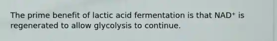 The prime benefit of lactic acid fermentation is that NAD⁺ is regenerated to allow glycolysis to continue.