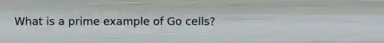 What is a prime example of Go cells?