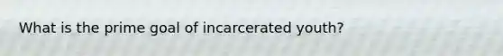 What is the prime goal of incarcerated youth?