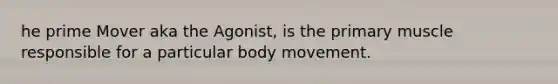 he prime Mover aka the Agonist, is the primary muscle responsible for a particular body movement.