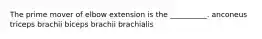 The prime mover of elbow extension is the __________. anconeus triceps brachii biceps brachii brachialis