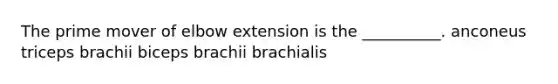 The prime mover of elbow extension is the __________. anconeus triceps brachii biceps brachii brachialis