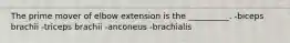 The prime mover of elbow extension is the __________. -biceps brachii -triceps brachii -anconeus -brachialis