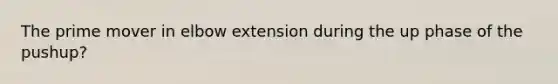 The prime mover in elbow extension during the up phase of the pushup?