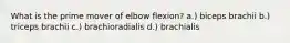 What is the prime mover of elbow flexion? a.) biceps brachii b.) triceps brachii c.) brachioradialis d.) brachialis