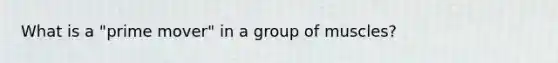 What is a "prime mover" in a group of muscles?